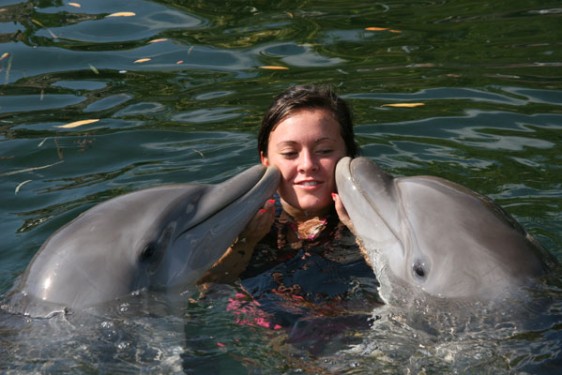 Seeusatours South Beach Dolphin Adventure